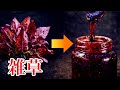 【錬成】冬の雑草を煮たら、高級ジャムになってしまった