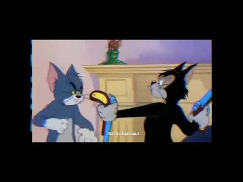 توم وجيري فيديو قصير المعنا اكبر بكثير فيديوهات انستجرام روعا