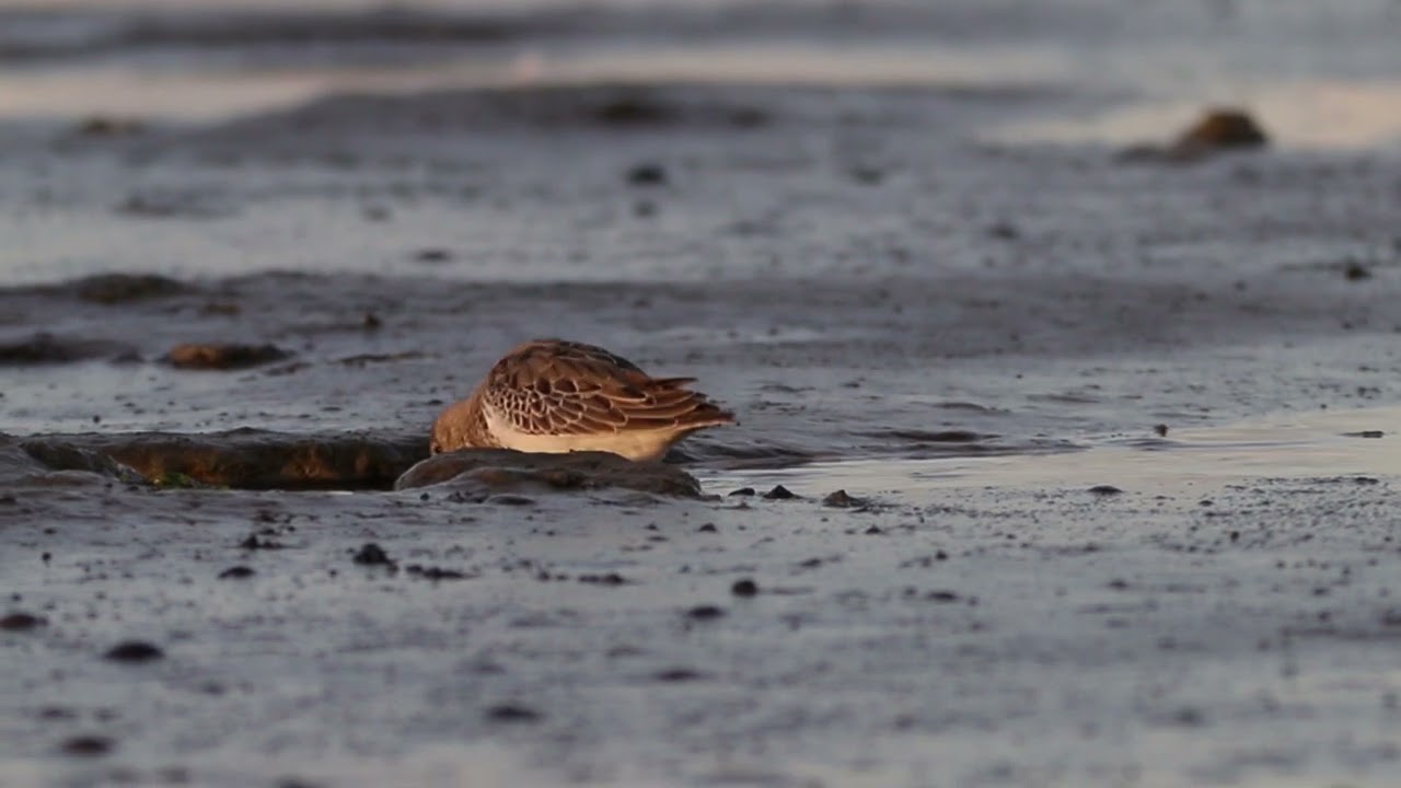 Kanoet Westhoek 14092022