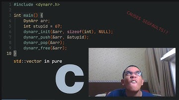 CAN AN IDIOT WRITE HIS OWN GENERIC DYNAMIC ARRAY API FROM SCRATCH IN PURE C??? DynArr (pt. 1)