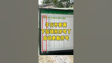 Excel表格自动更新序号#每天学习一点点 #办公技巧 #文员 #excel #职场