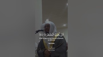 (أمن يجيب المضطر إذا دعاه)صوت مواثر ياسر الدوسري سورة النمل