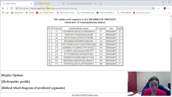 Proteinphysiochemistry Expasy Protparam Sosui Server And Psortb Youtube Proteinphysiochemistry Expasy Protparam Sosui Server And Psortb Youtube