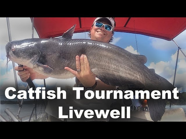 Catfish Tournament Livewell - Livewell for Catfish - How to Keep