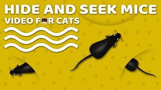 Cat Games Mouse - Hide And Seek Mice! Video For Cats To Watch | Cat & Dog Tv.