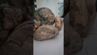 Rock art Effigy The age of the megafauna Part 2 of 4