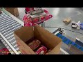 PACKVIN Glove Multipack Packaging Machine | Automatic Secondary Packing System