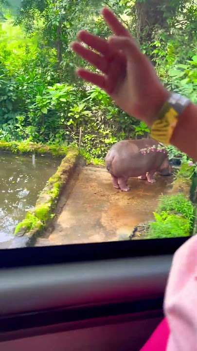 APA YANG KALIAN LIGAT GUYS?? 🧐 #cici #viral #lucu #videoshort #trendingshorts #videoviral #video