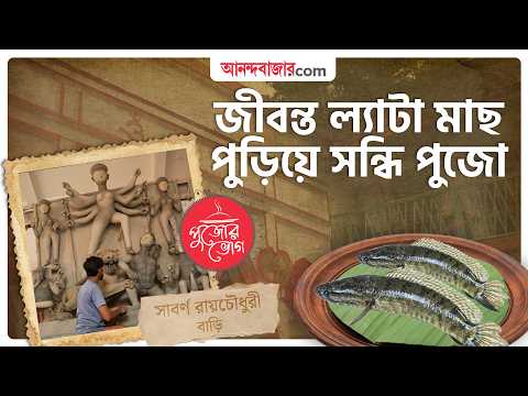 এক পরিবারের ২২ হাজার সদস্য, আটটা দুর্গাপুজো | Kolkata Oldest Durga Puja | Sabarna Roy Choudhury