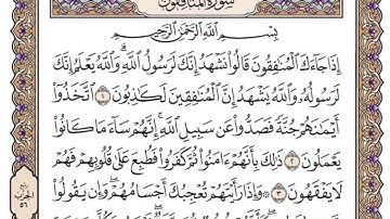 سورة المنافقون مكتوبة / محمد أيوب