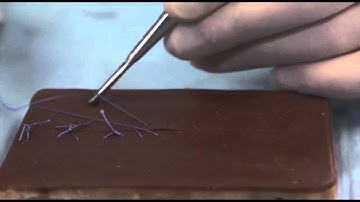 Simple continuous suturing