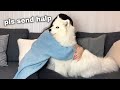 Hugging my dog for too long [FUNNY REACTION] 😂