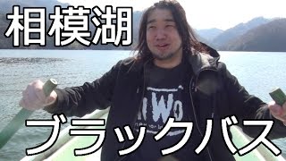 【シバターの釣り】早春に相模湖でブラックバスを狙う！
