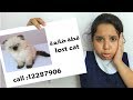 قطة شفا ضاعت Shfa Lost our cat