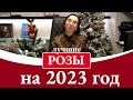 РОЗОВЫЕ МЕЧТЫ выбираем розы на сезон 2023