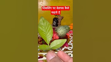 शिवलिंग पर बेलपत्र कैसे चढ़ाते है #mahadev #shivmahapurankatha  #pandit_pradeep_ji_mishra #shorts