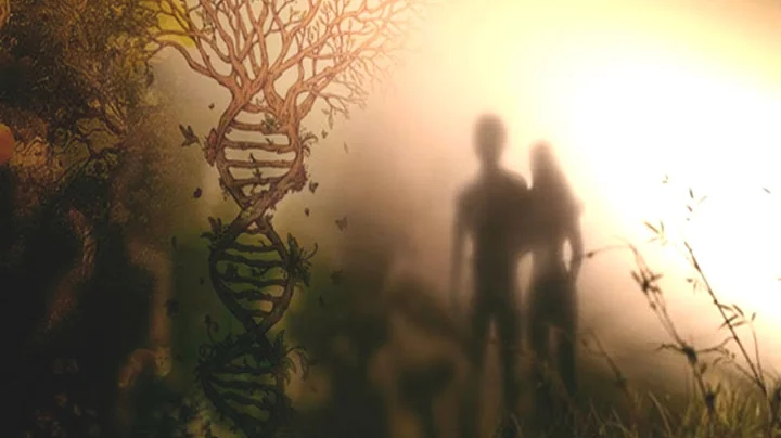 How did the People in Genesis Live so Long?