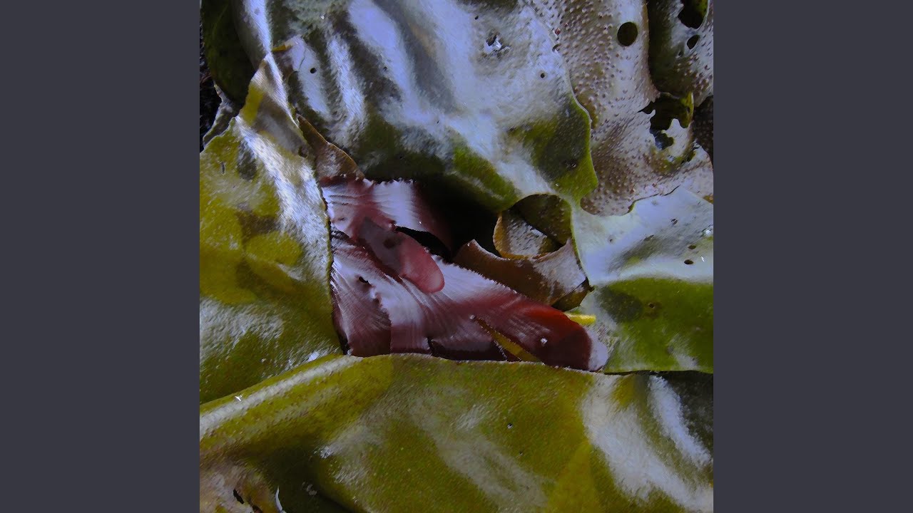 Floating Down the Phosphene Pink River