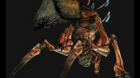 How to kill an Antlion Guard (Gmod version)