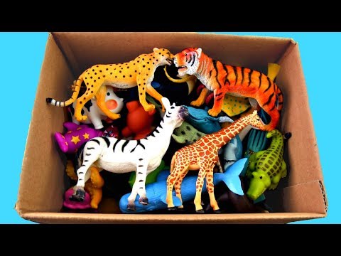 zoo toys videos