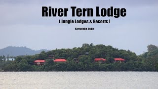 River Tern Lodge Bhadra | River Tern Resort | Jungle Lodges in Karnataka | My Vlog in Kannada