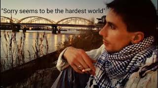 Platon Andreev "Sorry seems to be the hardest world"