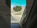 On the way to Badr (3) #badr #travel #shortvideo #shorts #short #foryou