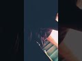 Desaparecieron cosas de la casa de la nena