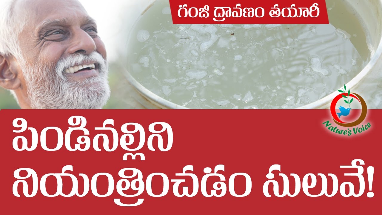 Natural Farming | Preparation of Rice starch organic pest controller