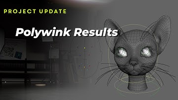 Polywink Results
