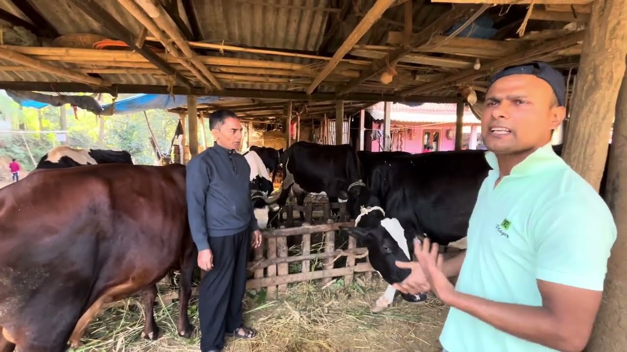 FARM VISIT of DHAN PRASAD DAIRY FARM   