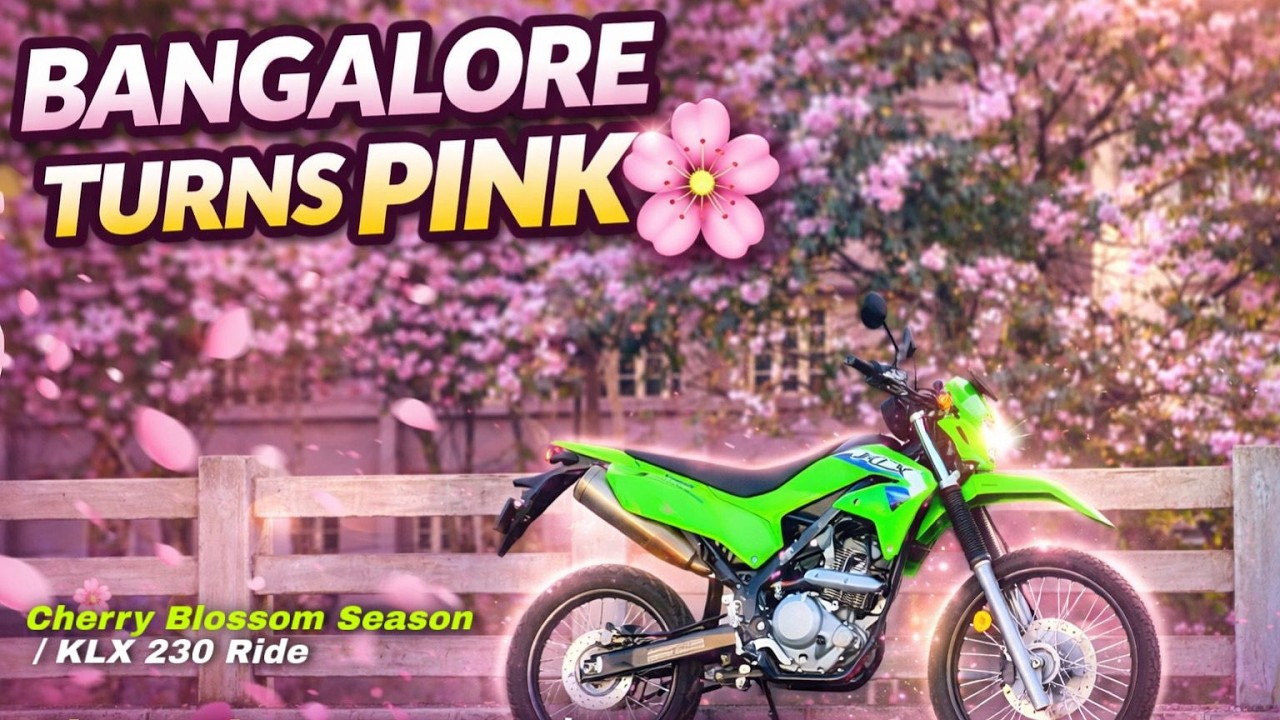Bangalore Turns Pink 🌸 | Cherry Blossom Season Ride on KLX 230 | ಬೆಂಗಳೂರಿನಲ್ಲಿ ಪಿಂಕ್ ಮ್ಯಾಜಿಕ್ 😍