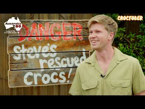 crocodile capture techniques by the irwin family