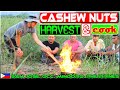 EP94 - Cashew Nuts Harvest 'n Cook | Occ. Mindoro