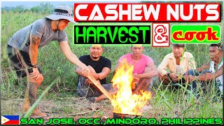 EP94 - Cashew Nuts Harvest 'n Cook | Occ. Mindoro