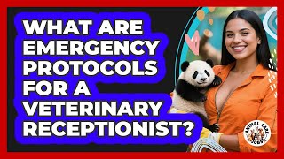 What Are Emergency Protocols For A Veterinary Receptionist? - Animal Care Jobs