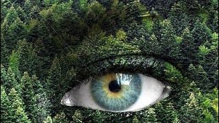 سبليمنال العيون الخضراء | تحذير لا تستمع لأكثر من مرة ⚠️ | بتقنية [الرسخ]  نتائج جبارة