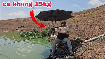 Câu đài tự nhiên hành trình săn cá rô phi tự nhiên lụm hàng 15kg cá mè khủng | câu cá tự nhiên
