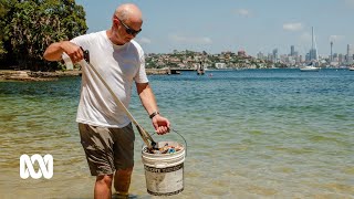 The 'Guardian of Sydney Harbour' dedicates his life to collecting rubbish | ABC Australia