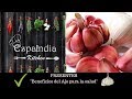 Espaindia Kitchen| Benefició del Ajo para la salud|Cocina de la india