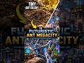 Ants Built a Cyberpunk City  #timelapse #transformation