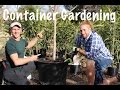 Container Growing a Fruit Tree in Your Garden