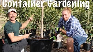 Container Growing a Fruit Tree in Your Garden