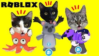100 mascotas y secretos de roblox adopt me jugando con los gatitos luna y estrella