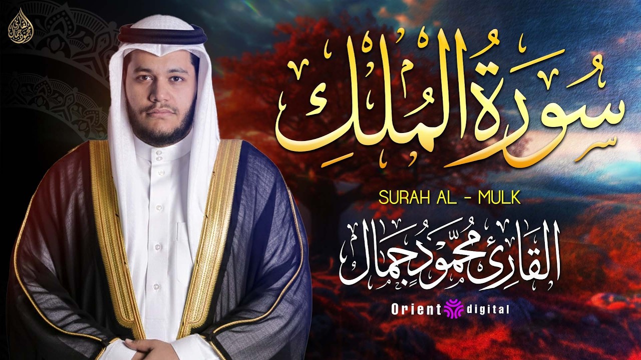 دع صوت القارئ محمود جمال يأخذك في رحلة روحانية قبل النوم مع سورة الملك 🌿💤