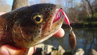 Slaying Stocked Trout on the Johnson Min-O-Spin Spinner (Philadelphia, PA)