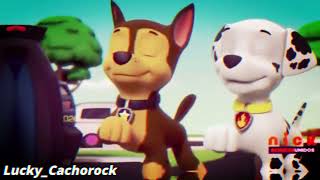 - Delirious  - Paw Patrol AMV