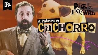 Cachorro Porta Palavra