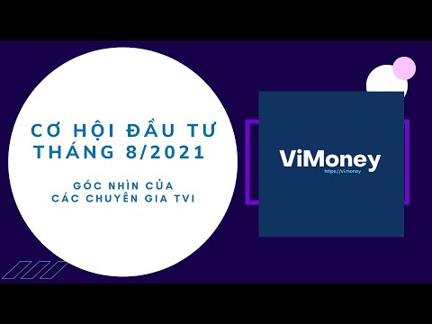 ViMoney - Góc nhìn TVI - Talkshow 1 - Cơ hội đầu tư tháng 8/2021