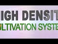High Density Cultivation System